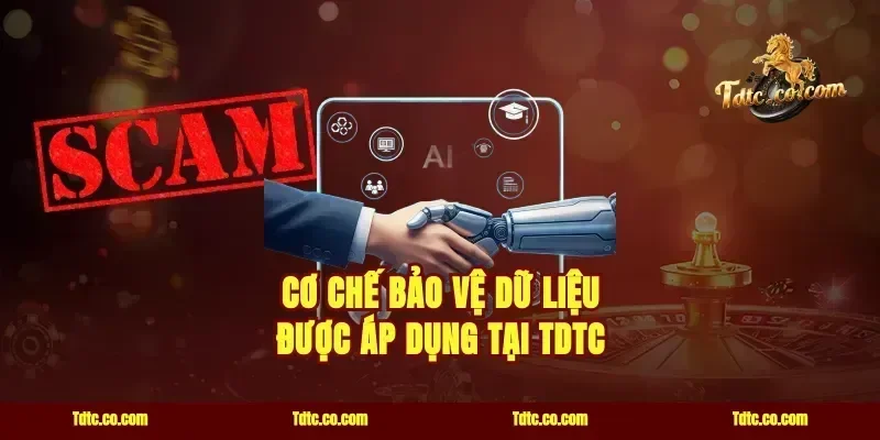 Cơ chế bảo vệ dữ liệu được áp dụng tại TDTC