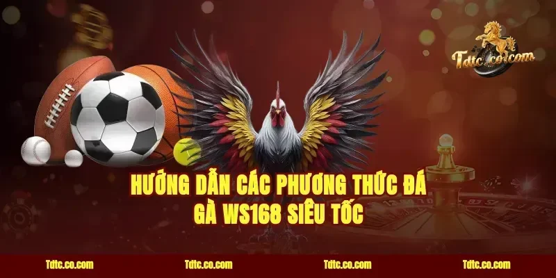 Hướng dẫn các phương thức đá gà WS168 siêu tốc