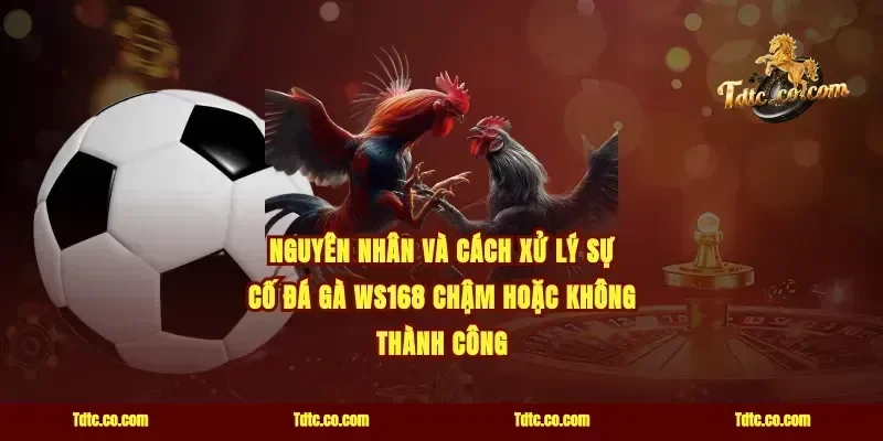 Nguyên nhân và cách xử lý sự cố đá gà WS168 chậm hoặc không thành công