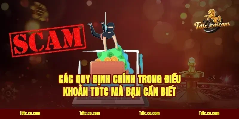các quy định chính trong điều khoản TDTC mà bạn cần biết