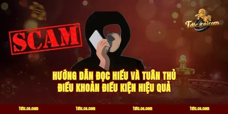 hướng dẫn đọc hiểu và tuân thủ điều khoản điều kiện hiệu quả