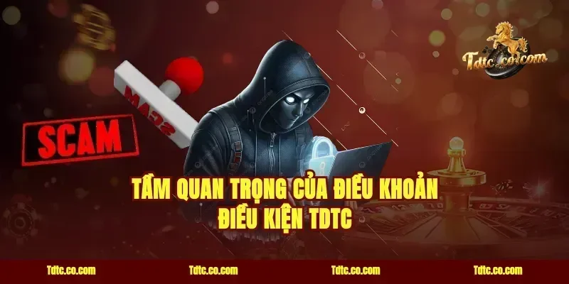 tầm quan trọng của điều khoản điều kiện TDTC