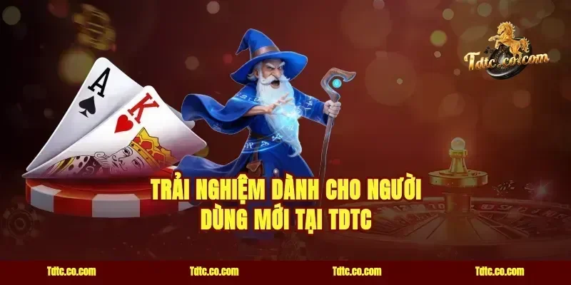 Trải nghiệm dành cho người dùng mới tại TDTC