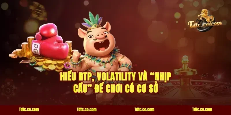 Hiểu RTP, Volatility và “nhịp cầu” để chơi có cơ sở